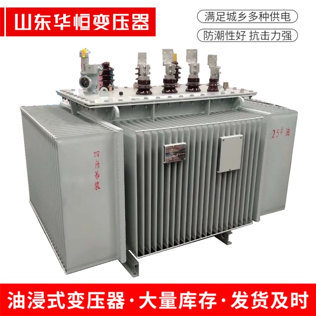 S13-10000/35望都望都望都电力变压器厂家
