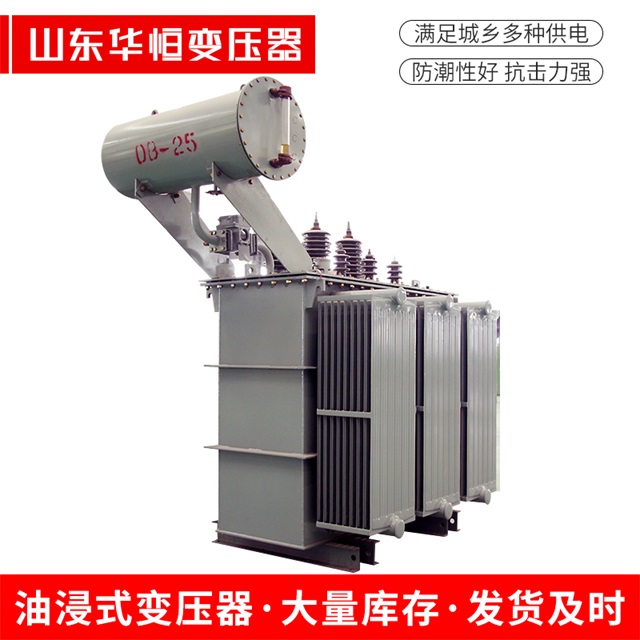 S11-10000/35望都望都望都电力变压器厂家