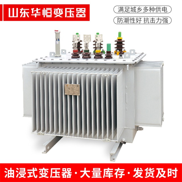 S13-10000/35望都望都望都电力变压器
